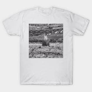 Only In Montana - Black And White T-Shirt